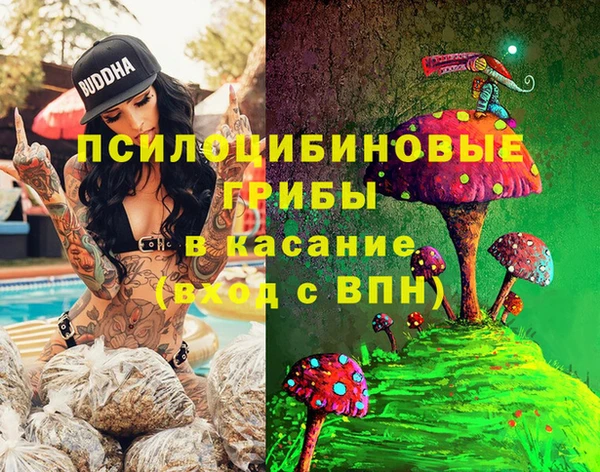 PSILOCYBIN Ростов