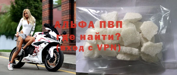 PSILOCYBIN Ростов