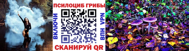 Купить  Тамбов  Галлюциногенные грибы ЛСД 